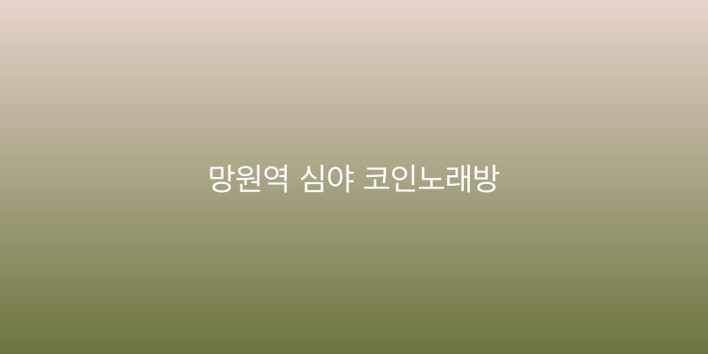 망원역 심야 코인노래방