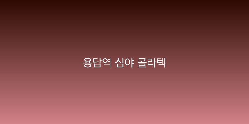 용답역 심야 콜라텍