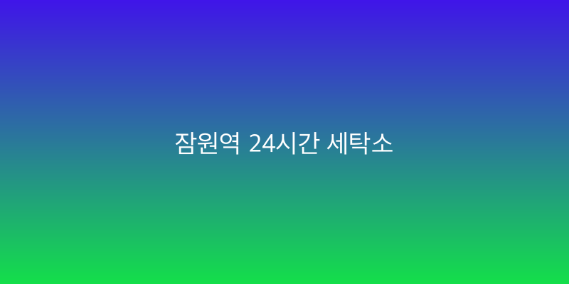 잠원역 24시간 세탁소