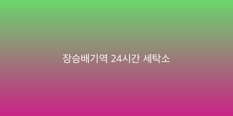 장승배기역 24시간 세탁소