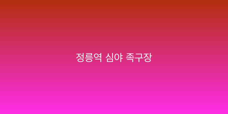 정릉역 심야 족구장