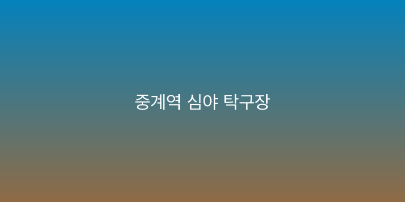 중계역 심야 탁구장